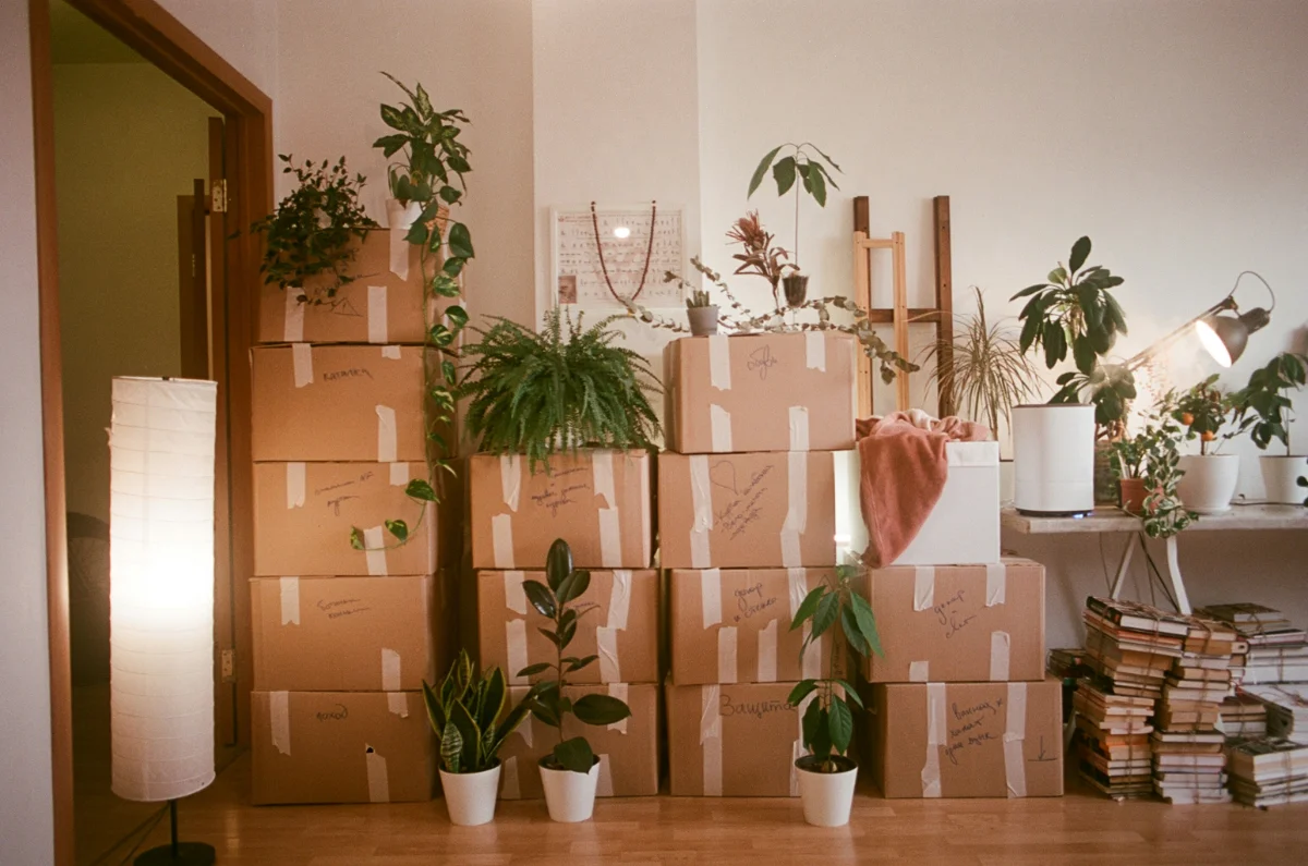 Emménagement, cartons dans un logement vide
